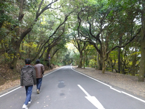 足摺亜熱帯植物園