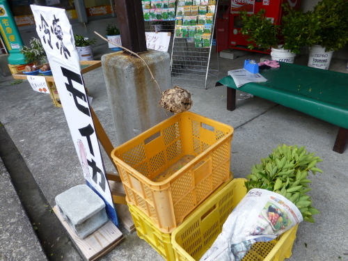 つくし市場