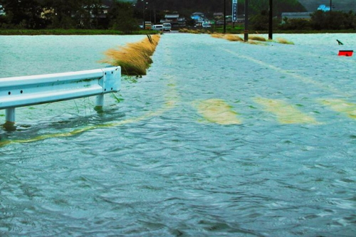 台風11号