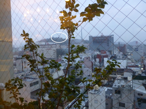 チェックイン松山からの風景