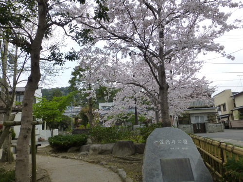 sakura-2015-06