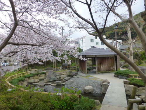 sakura-2015-07