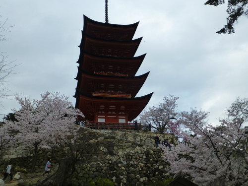 宮島・五重塔と桜