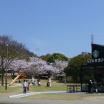 宮島ＳＡ・スタバと満開の桜