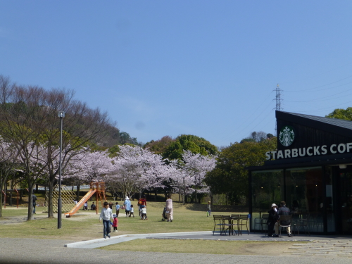 宮島ＳＡ・スタバと満開の桜