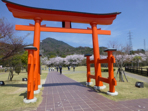 宮島ＳＡの鳥居と桜