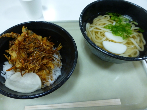 小谷ＳＡ・アンデルセン・かき揚げ丼とうどん