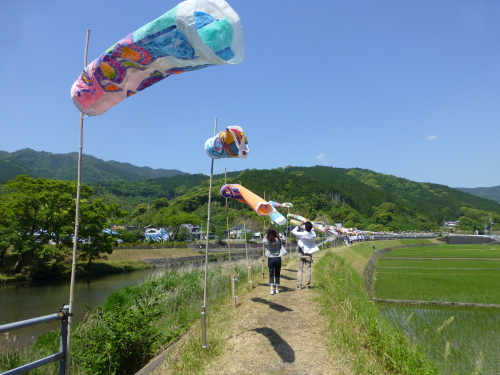 黒潮町・なぶら土佐佐賀にこいのぼり