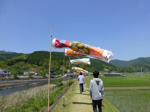 黒潮町・なぶら土佐佐賀・たくさんのこいのぼり