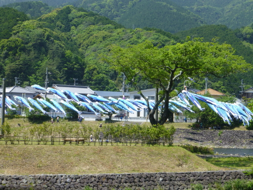 黒潮町・なぶら土佐佐賀・100本のカツオのぼり