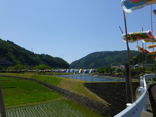 黒潮町・なぶら土佐佐賀・こいのぼり