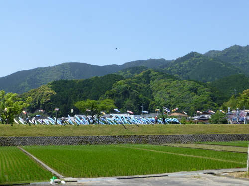 黒潮町・なぶら土佐佐賀・100本のカツオのぼり