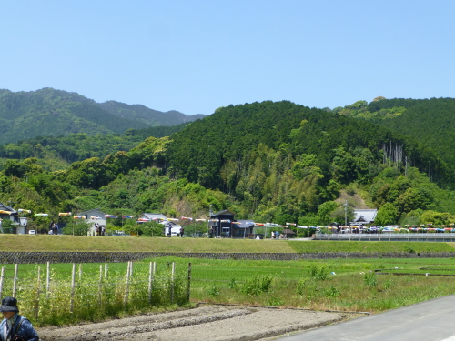 黒潮町・なぶら土佐佐賀・100本のカツオのぼり