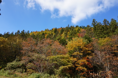 小田深山へ