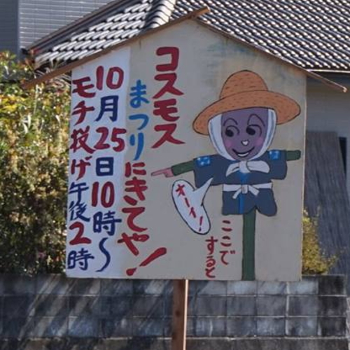 大月町コスモス祭り