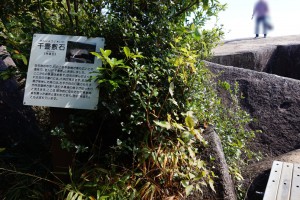 唐人駄馬