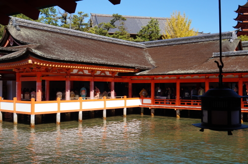 宮島・厳島神社・献茶祭