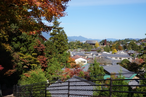 宮島・紅葉