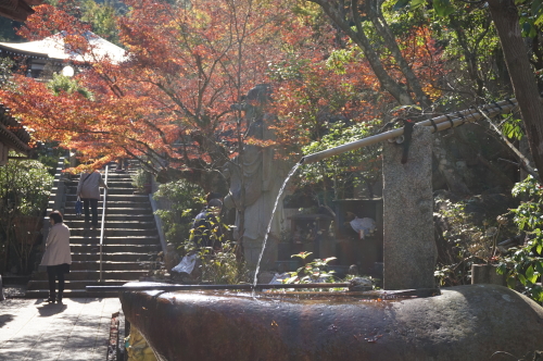 宮島・紅葉