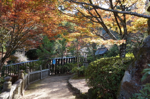 宮島・紅葉