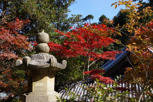 宮島・紅葉