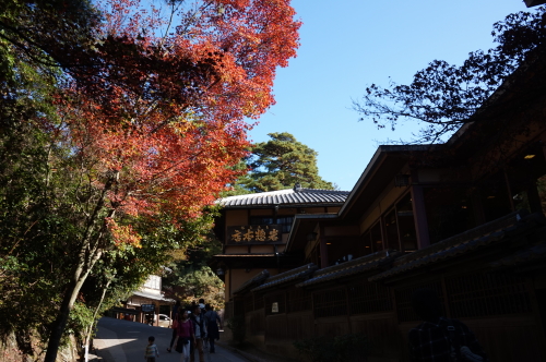 宮島・紅葉