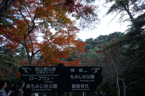 宮島・紅葉