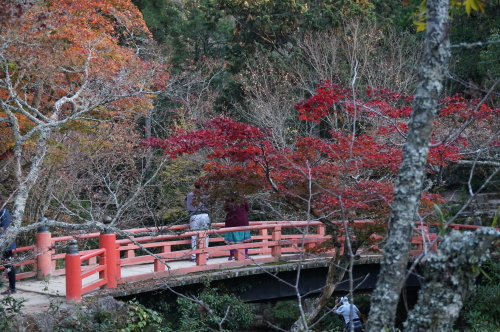 宮島・紅葉谷公園