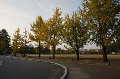 愛媛県美術館・公園