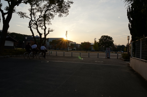 愛媛県美術館・公園