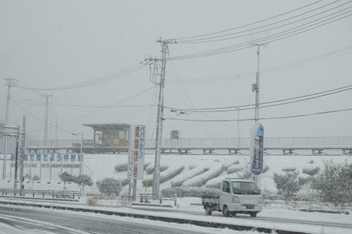 1月24日、雪