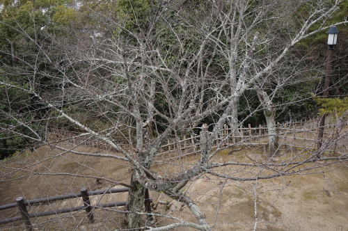 道後公園