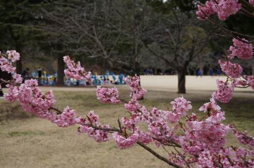 道後公園