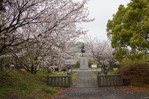 長宗我部元親と桜