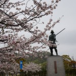 桜と長宗我部元親