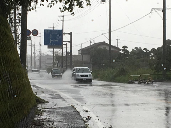 台風16号-かん水