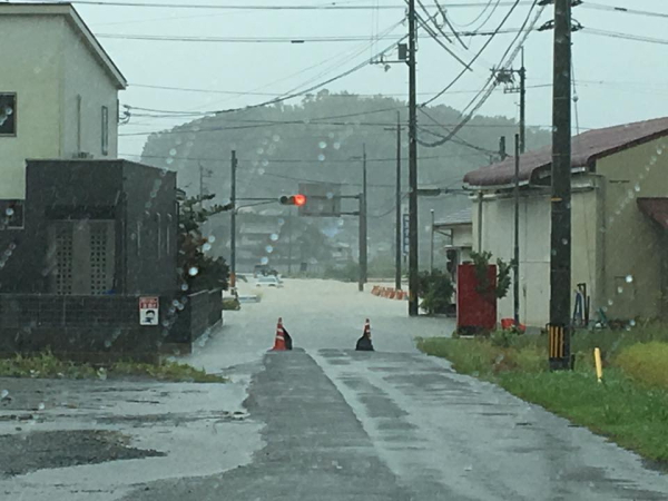 台風16号-かん水