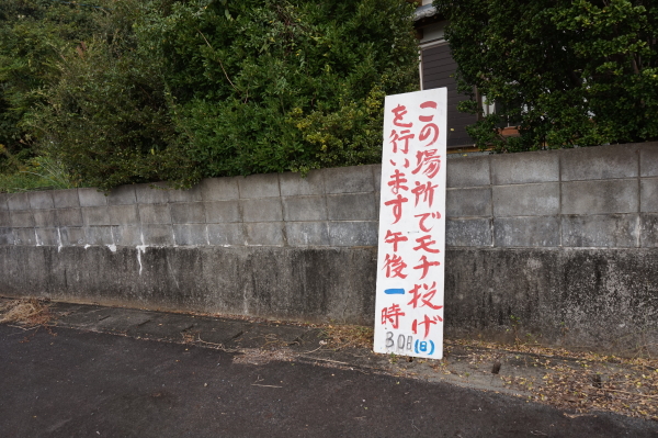 大月コスモス祭り