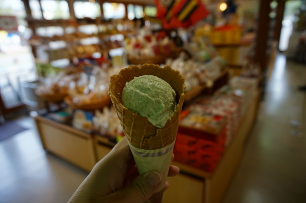 道の駅やす・青のりのアイス