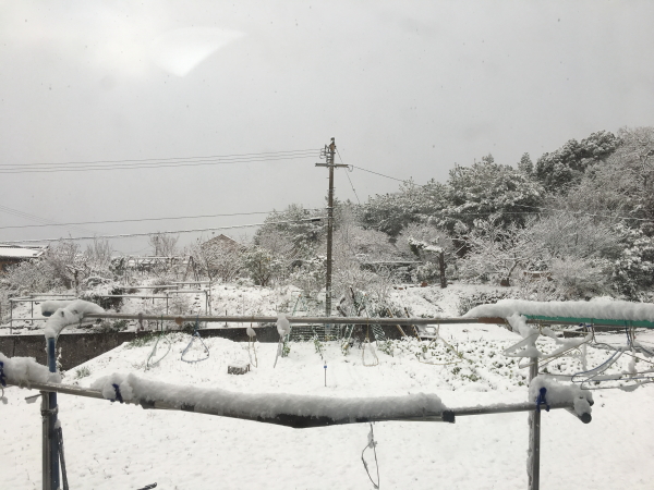 雪