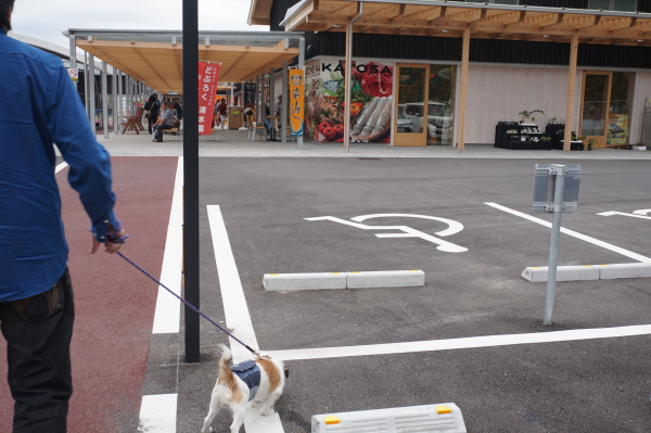 道の駅なかとさ