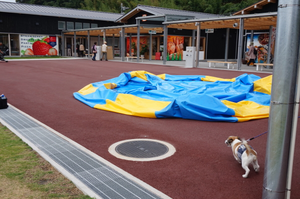 道の駅なかとさ