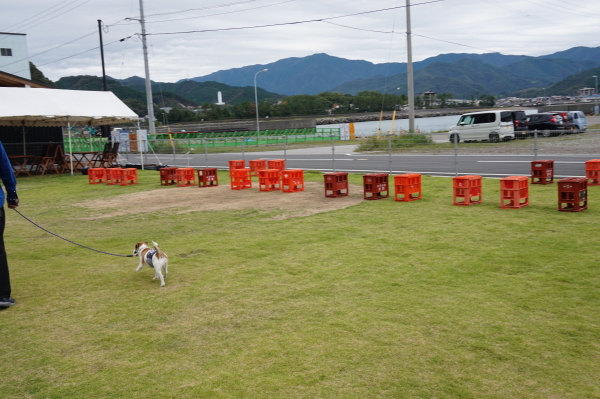 道の駅なかとさ