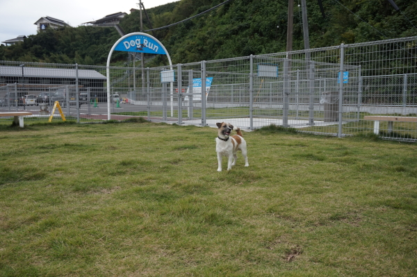 道の駅なかとさ