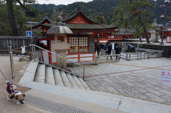 チップと厳島神社