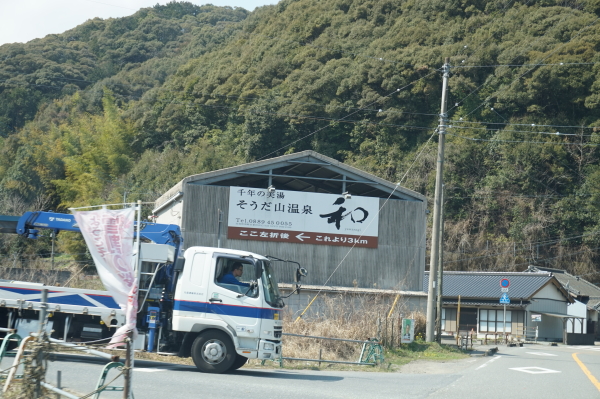 桑田山・雪割り桜