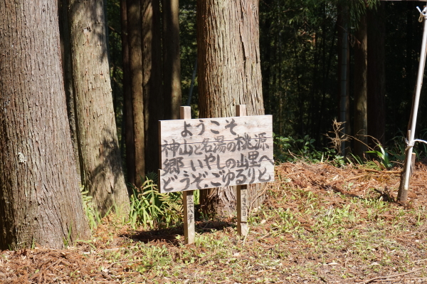 桑田山・雪割り桜