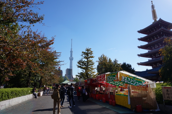 浅草から見るスカイツリー