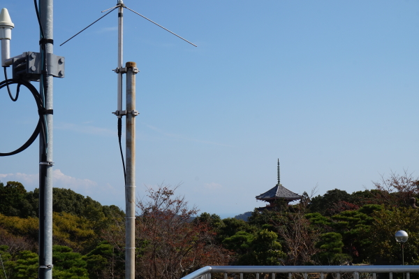 竹林寺の五重塔