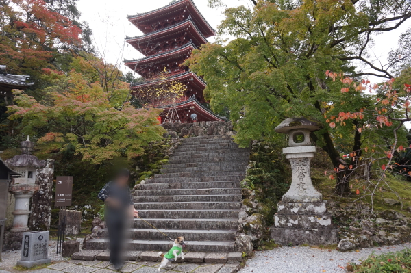 竹林寺、五重塔